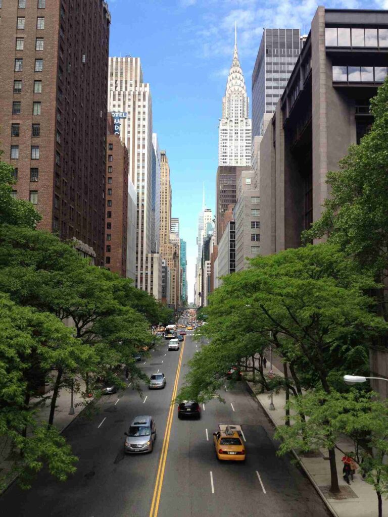 tree-architecture-sky-road-skyline-street-1087245-pxhere.com